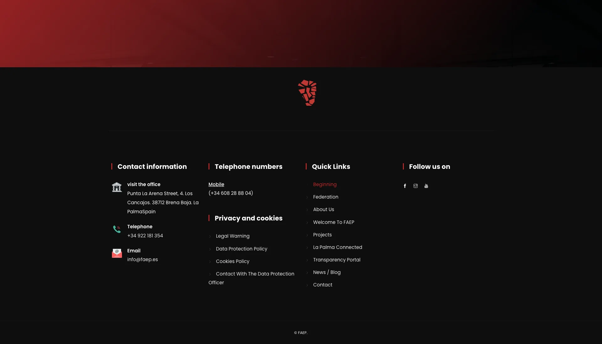 FAEP website page design